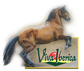 Viva Iberica logo, Yeguada Iberica's PRE stallion Rumboso